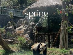 -云南野生动物园