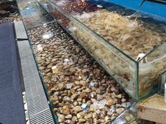 -港畔赶海蒸汽海鲜烧烤自助(仙螺岛店)