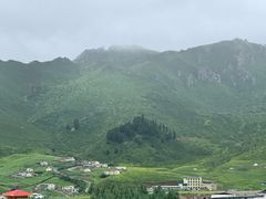 -达仓郎木寺院