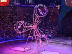 -俄罗斯国家大马戏团