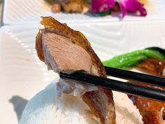 新发烧鹅-香港新发烧腊茶餐厅(书城店)