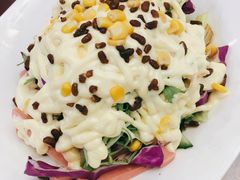 特选厨师沙拉-桃子餐厅·天津菜(红星路直营店)