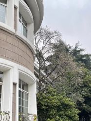 -杰爱月子护理中心