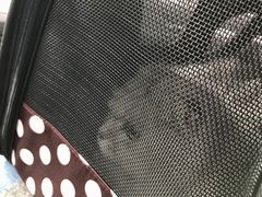 -酷狗靓猫宠物·洗护·美容·寄养(航北路店)