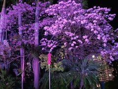 -碧桂园十里银滩