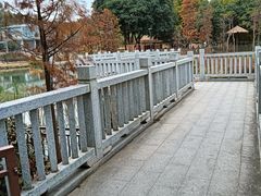 -王借岗森林公园