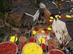 -婺源风景区