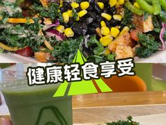 -油梨树 AVOCADO TREE(亮马桥店)