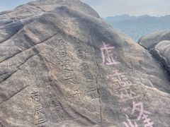 -南山植物园
