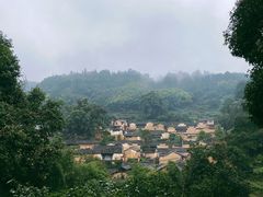 -杨家堂村