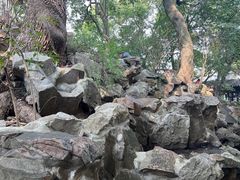 -西园戒幢律寺