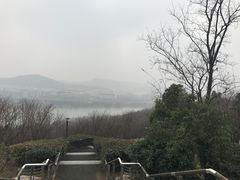 -羊山湖公园