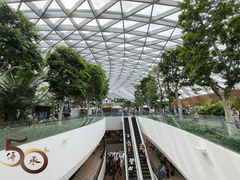 -樟宜机场免税店