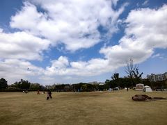 -新江湾城公园