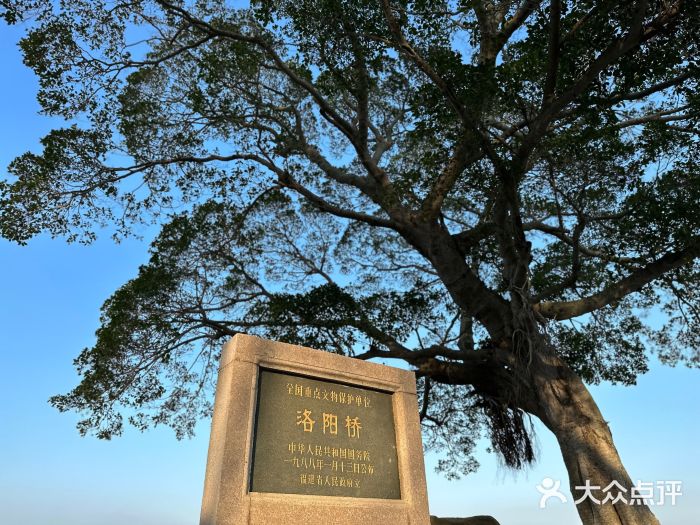 洛阳桥图片