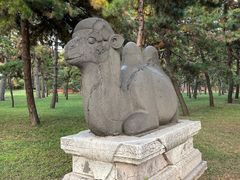 -北陵公园