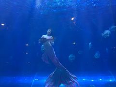 -华夏文旅海洋公园