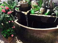 -兰木肆·云南菜(龙湖U城天街店)