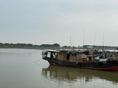 -大湾区中央湿地公园-十九涌