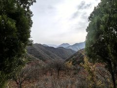 -康百万庄园