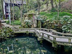 -句容茅山景区