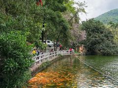 -广州市白云山风景名胜区