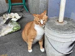 -刘蒲记