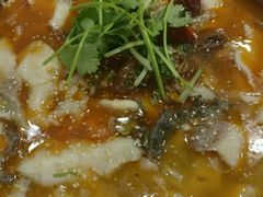 -龙梅肥肠鱼(明瓦廊店)