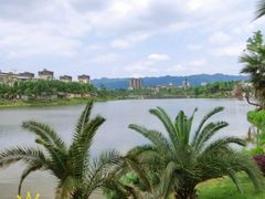 -枫香湖儿童公园