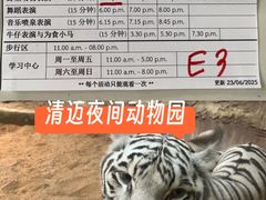 -清迈夜间动物园