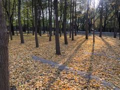 -古塔公园