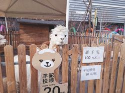 -萌宠亲子动物乐园(槐房万达店)