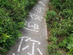 -沙扒湾