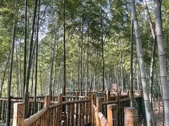 -陶祖圣境风景区