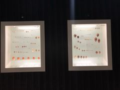 -青岛贝壳博物馆