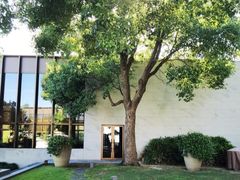 -养云安缦吧THE BAR