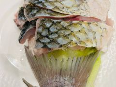 顺德无骨千层鱼切片-得意咚瓜·顺德鱼生·冬瓜火锅(深圳首店)