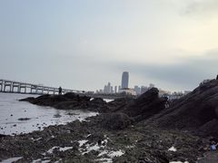 -黑石礁公园