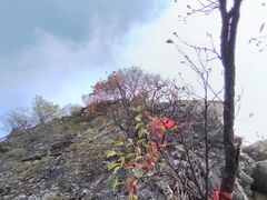 -秦岭终南山世界地质公园翠华山景区