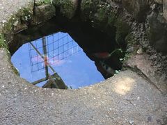 -灵栖洞天