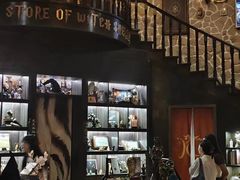 -雪灵魔法世界SHELLY’S TAROT(大良桂畔里店)
