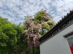-深圳国际园林花卉博览园