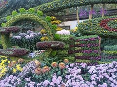 -杭州植物园