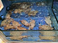 -海景苑海鲜大酒店(吕四店)