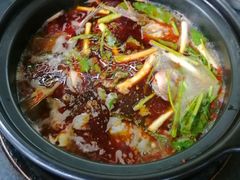-老杨砂锅鱼庄