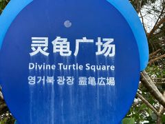 -广东惠东海龟国家级自然保护区