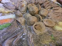 藏式火锅-玛禄藏膳(五分店)