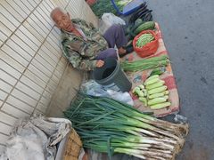 -登州市场(登州路店)