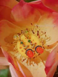 -北京七彩云南翡翠珠宝旗舰店(月坛店)