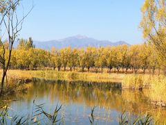 -野鸭湖国家湿地公园